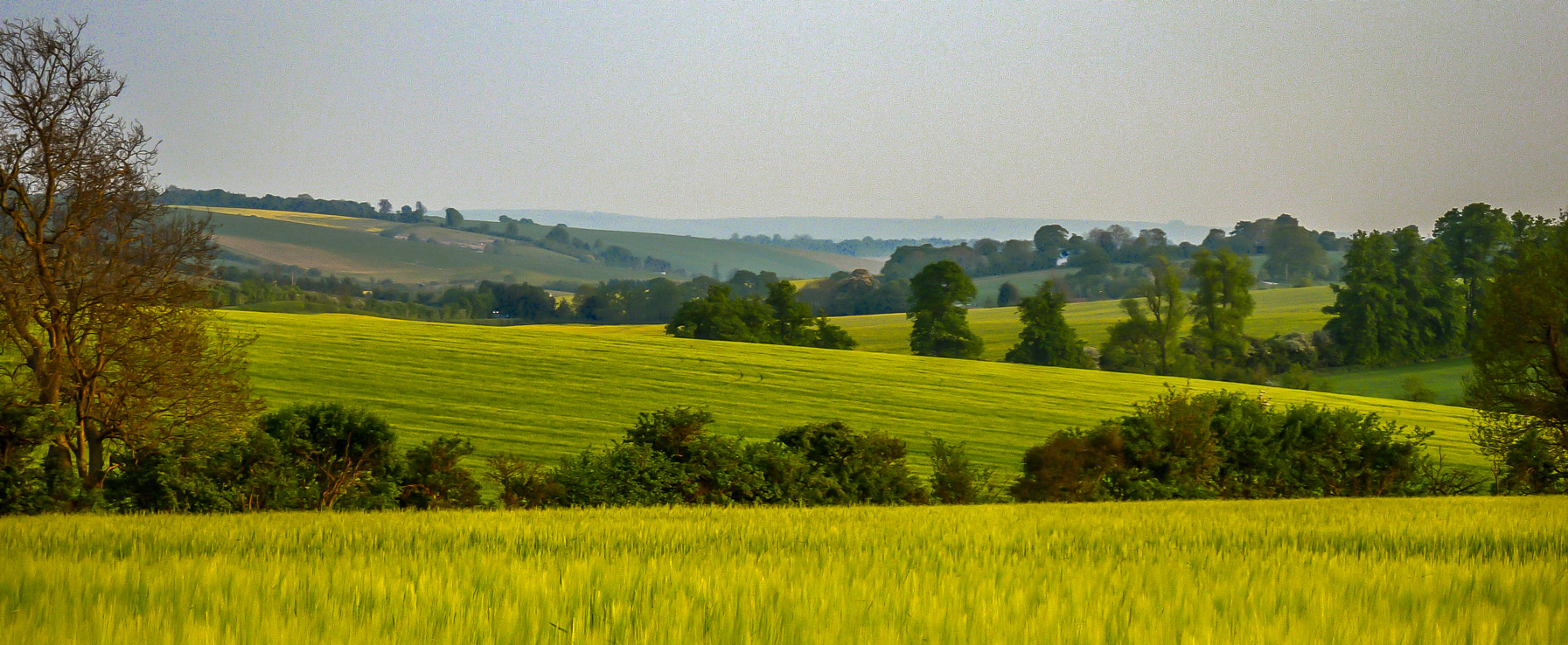 West Berks & Oxon Training